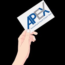 APEX Team International Bucuresti Consultanta